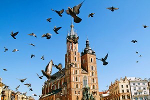 Легенда про голубів на Ринковій площі